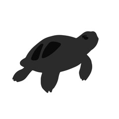 Snapping Turtle Animal