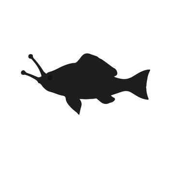 Black Snailfish Illustration