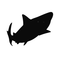 Sixgill Shark Illustration © Waleed