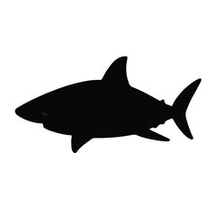 Obraz premium Silky Shark Illustration