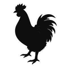 Silkie Chicken Illustration © Waleed