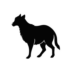 Black Shollie Animal Illustration
