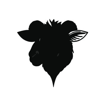 Sheepshead Fish Marine Life