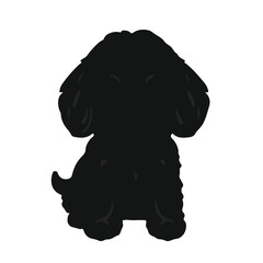 Black Schnoodle Animal