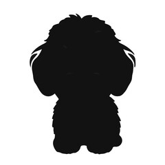 Black Schnoodle Animal