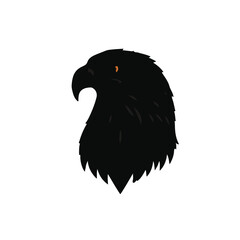 Black Schnauzer Animal