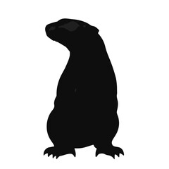 Savannah Wildlife Emblems