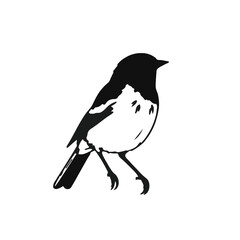 Savannah Sparrow Illustration