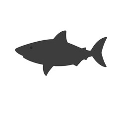 Obraz premium Salmon-Shark Hybrid Animal