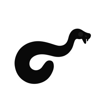 Black Superworm Animal