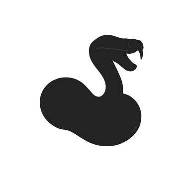 Rinkhals Snake