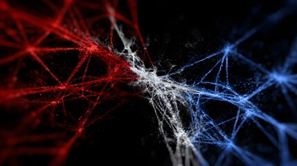 Red and blue network patterns on a black background.