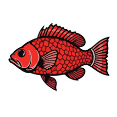 Fototapeta premium Red Drum Fish illustration