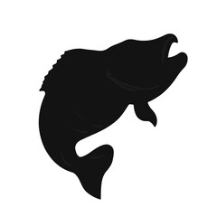 Obraz premium Black Rock Bass Fish