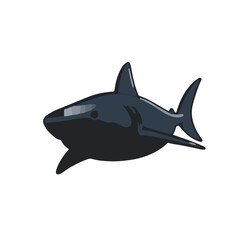 Fototapeta premium Black Reef Shark Illustration