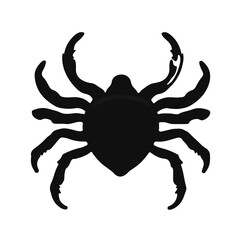 Pacific Coast Wildlife under Threat