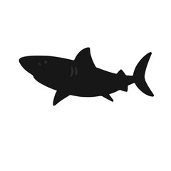 Pygmy Shark Illustration