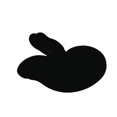 Pygmy Rattlesnake Imagery