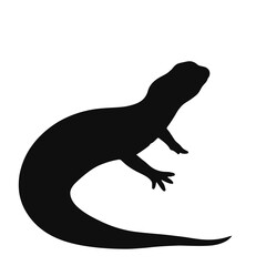 Pygmy Rattlesnake Illustration