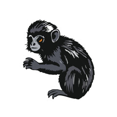 Pygmy Marmoset Hand Illustration
