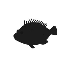 Black Pufferfish Animal