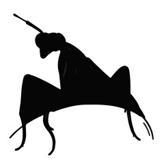 Praying Mantis Illustration