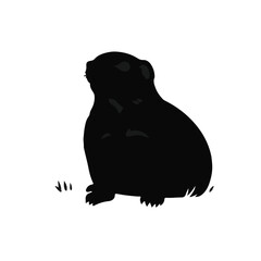 Prairie Dog Illustration