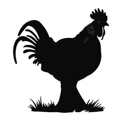 Prairie Chicken Illustration