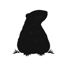 Prairie Dog Animal Illustration