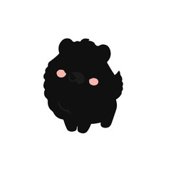 Black Poochon Animal