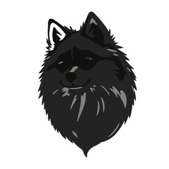 Black Pomsky Animal