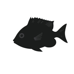 Pompano Fish