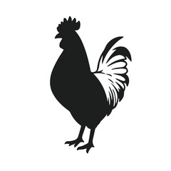 Polish Chicken Animal