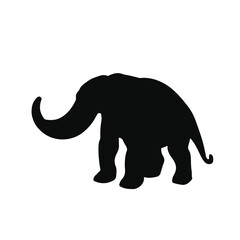 Platybelodon Animal