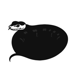 Hognose Snake Illustration