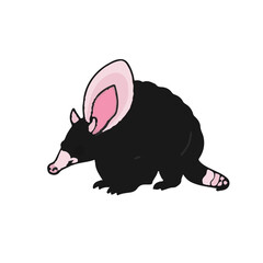 Pink Fairy Armadillo Illustration