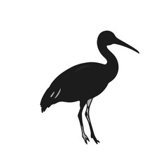 Pelagornithidae Species