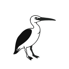Pelagornis Black Avian Illustration
