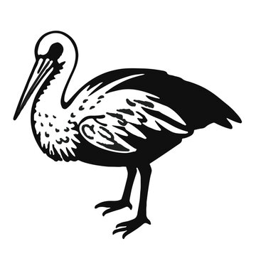 Pelagornithidae Family