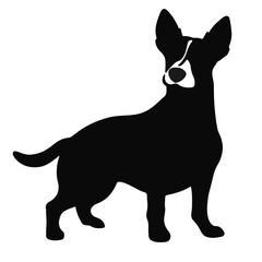 Patterdale Terrier Portrait