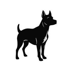 Patterdale Terrier Portrait
