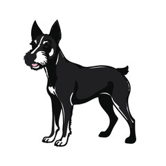 Patterdale Terrier Portrait