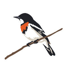 Painted Bunting Bird Symbol