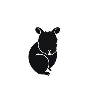 Black Pademelon