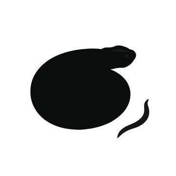 Hognose Snake in Grass