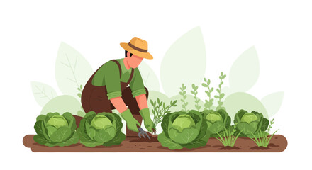 Illustration of farmer working on cabbage patch, promoting sustainable agriculture and food production