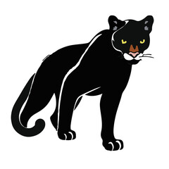 Black Puma