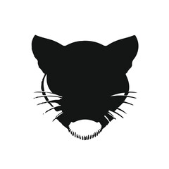Black Puma Animal