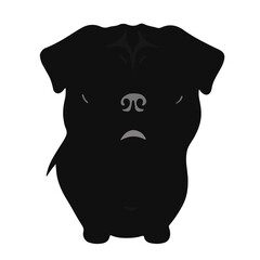 Black Pug Mix Pet