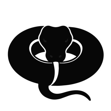 Black Python Animal